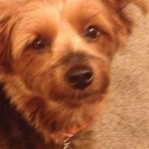 Meet your Posher, Dionne njoiinglyfe